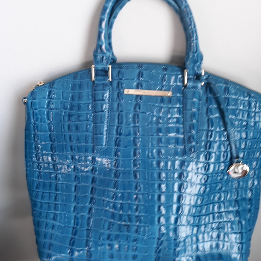 Authentic Brahmin Handbag